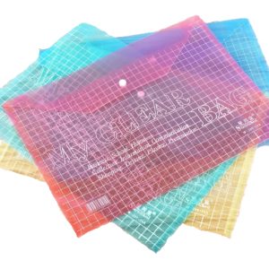 Pasta de Arquivo Plástica My Clear (Unidade)