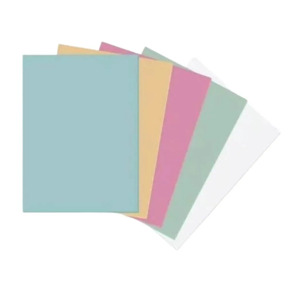 Papel & Cartolina